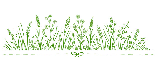 How Much Caffeine In Green Tea (with Chart)? - Zana Tea